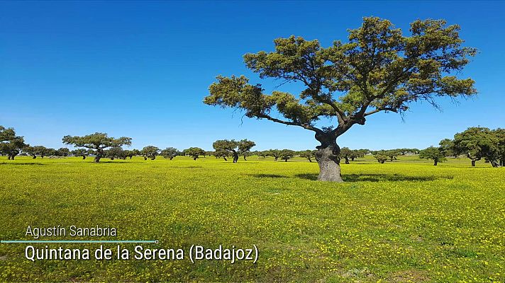 El tiempo - Nevadas significativas en el alto Ebro y área pirenaica. Rachas de viento del noroeste muy fuertes en el nordeste peninsular y Baleares