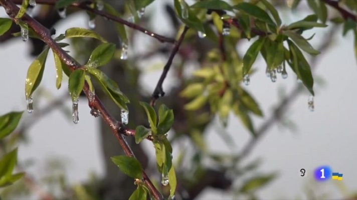 L'Informatiu - L'Informatiu - 04/04/2022