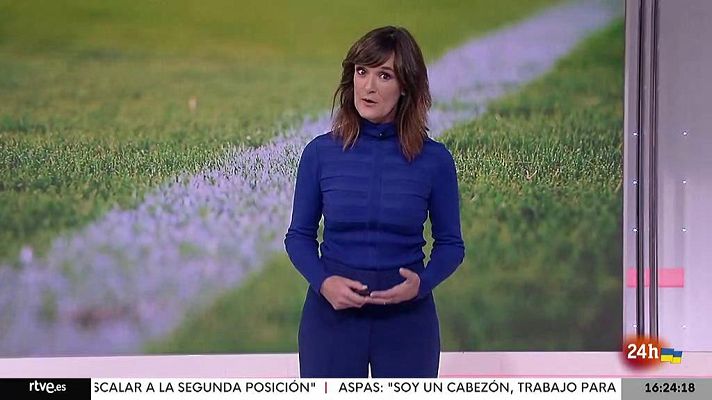 Parlamento - Futura Ley del Deporte