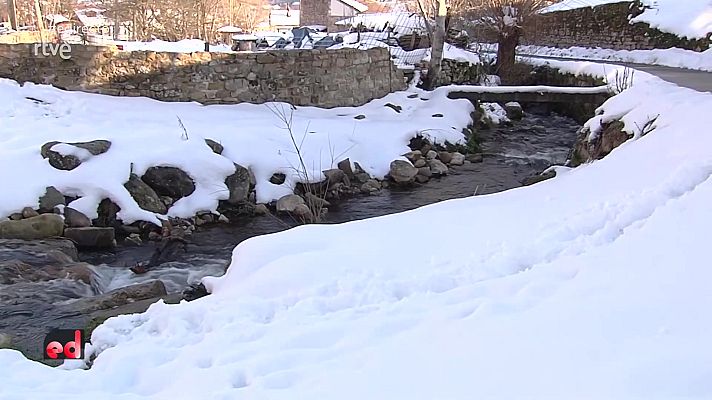 España Directo - España Directo - 04/04/22