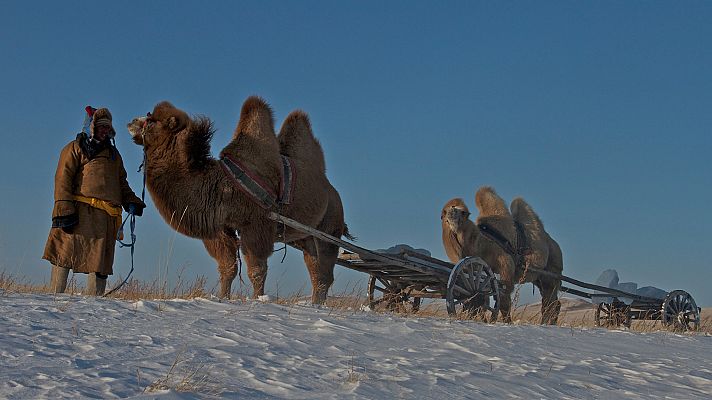 Amur, el Amazonas de Asía - Los manantiales secretos