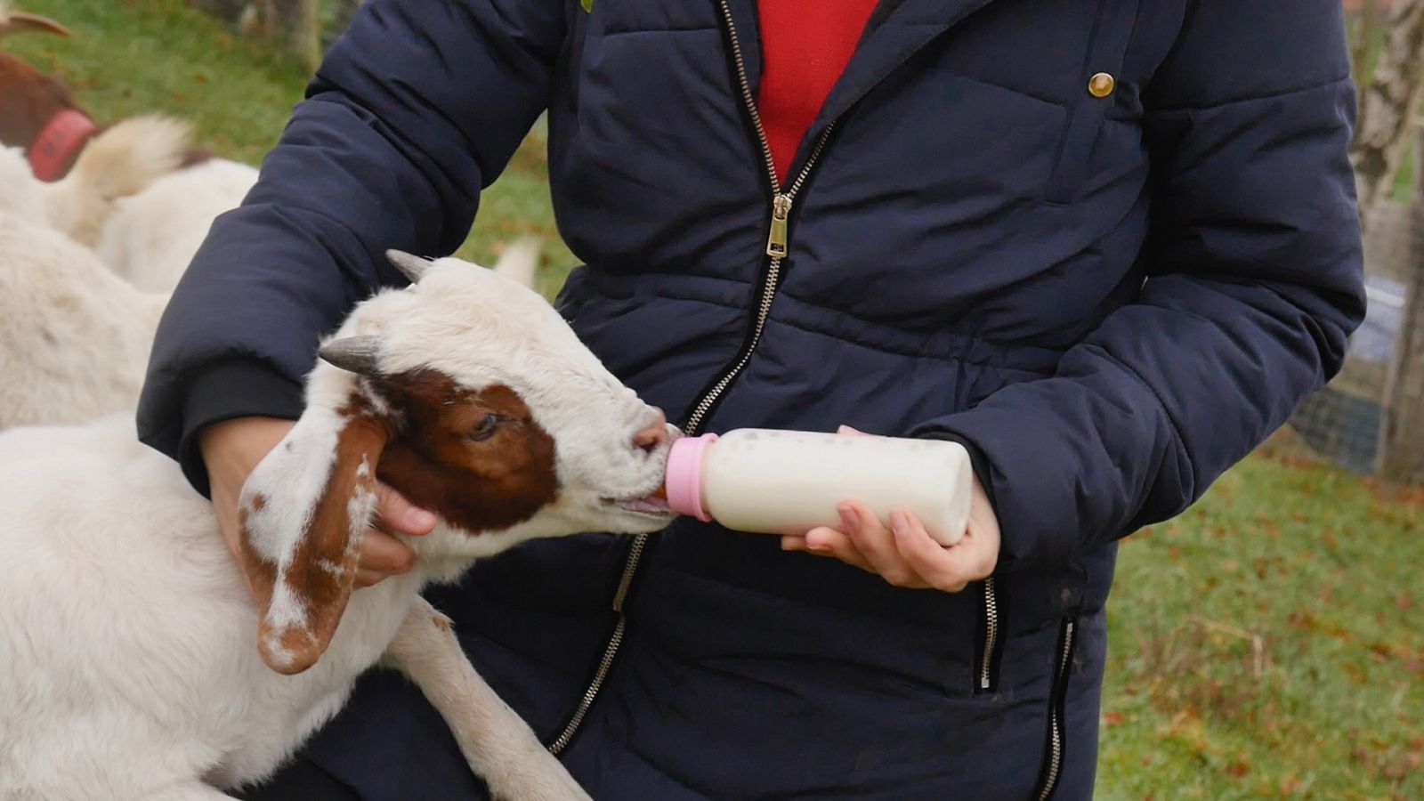 Aquí la Tierra - 05/04/22 - ver ahora