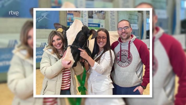 Aquí la Tierra - Cómo se prepara una vaca para ser Miss