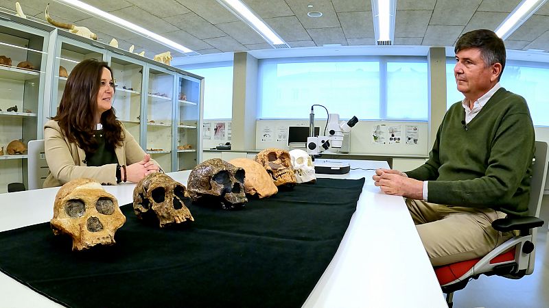 Arqueomanía - Una evolución muy humana - ver ahora