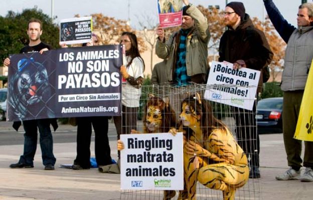  - Denuncian a un circo por maltrato