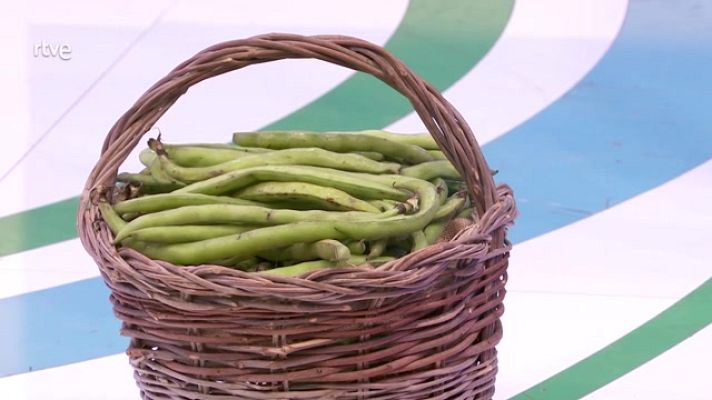 Aquí la Tierra - Vainas de habas baby, un privilegio de hortelanos