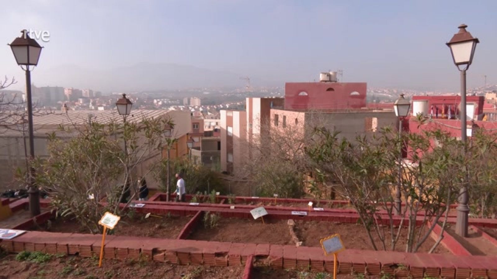 Aquí la Tierra - Un colegio con huerto propio