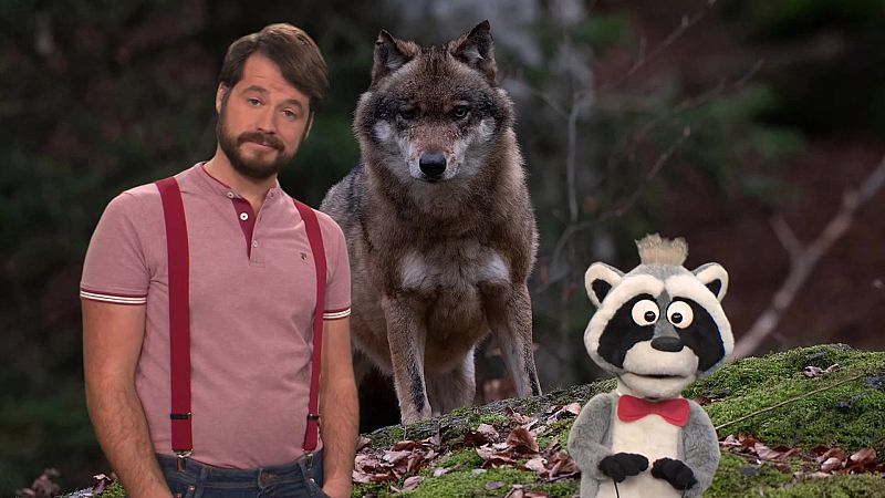 ¡Lobos! - Aprendemos en Clan | Ver