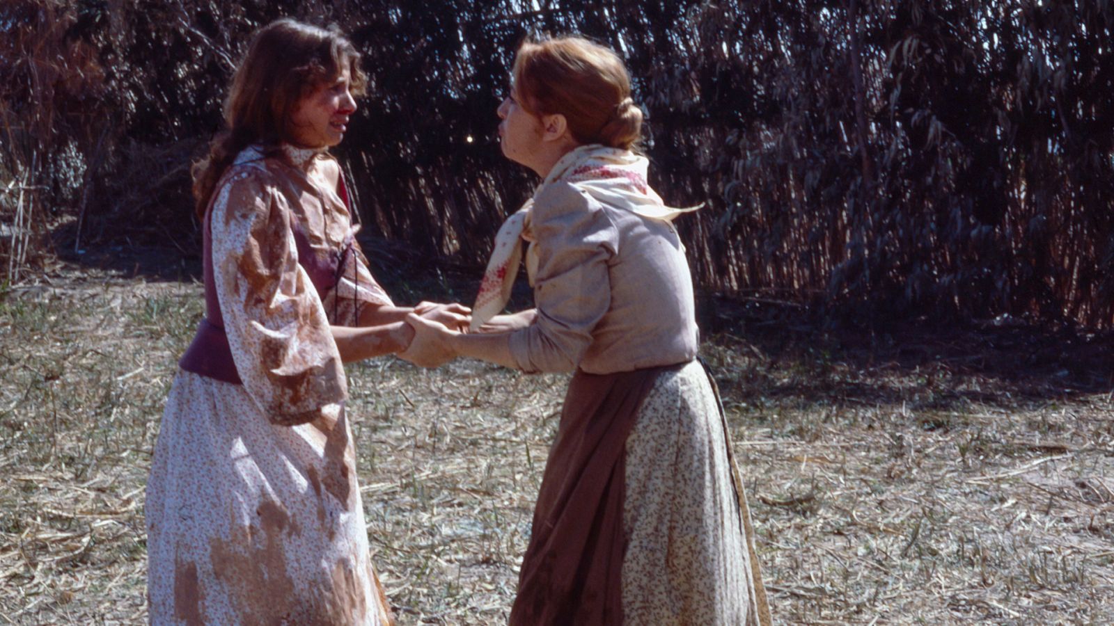 La barraca - Episodio 4 - Ver ahora