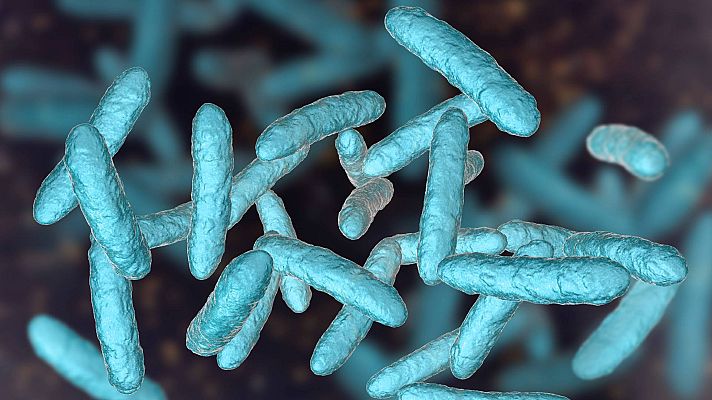 Saber vivir - La estrecha relación entre el intestino y el cerebro