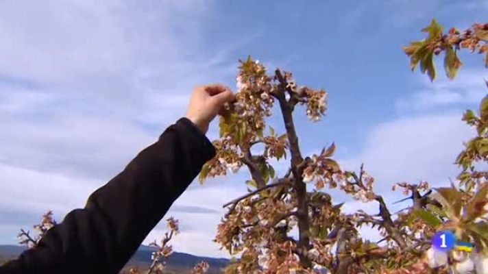 Informativo Telerioja - Informativo Telerioja - 08/04/22