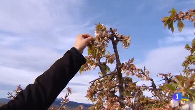 Telerioja en 2' - 08/04/22-Ver ahora