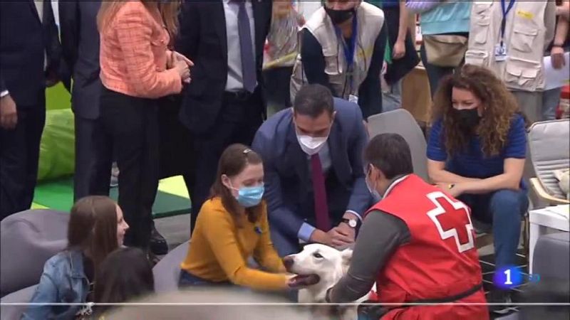 L'Informatiu 2 - 08/04/2022