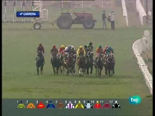 Turf - Turf - 13/12/09