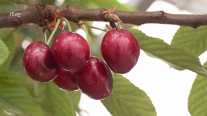 Aquí la Tierra - Aquí la Tierra - 10/04/22