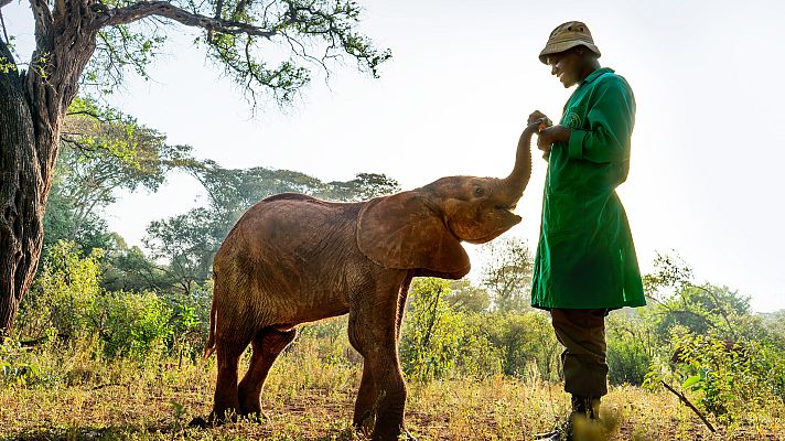 Un planeta perfecto - El ser humano