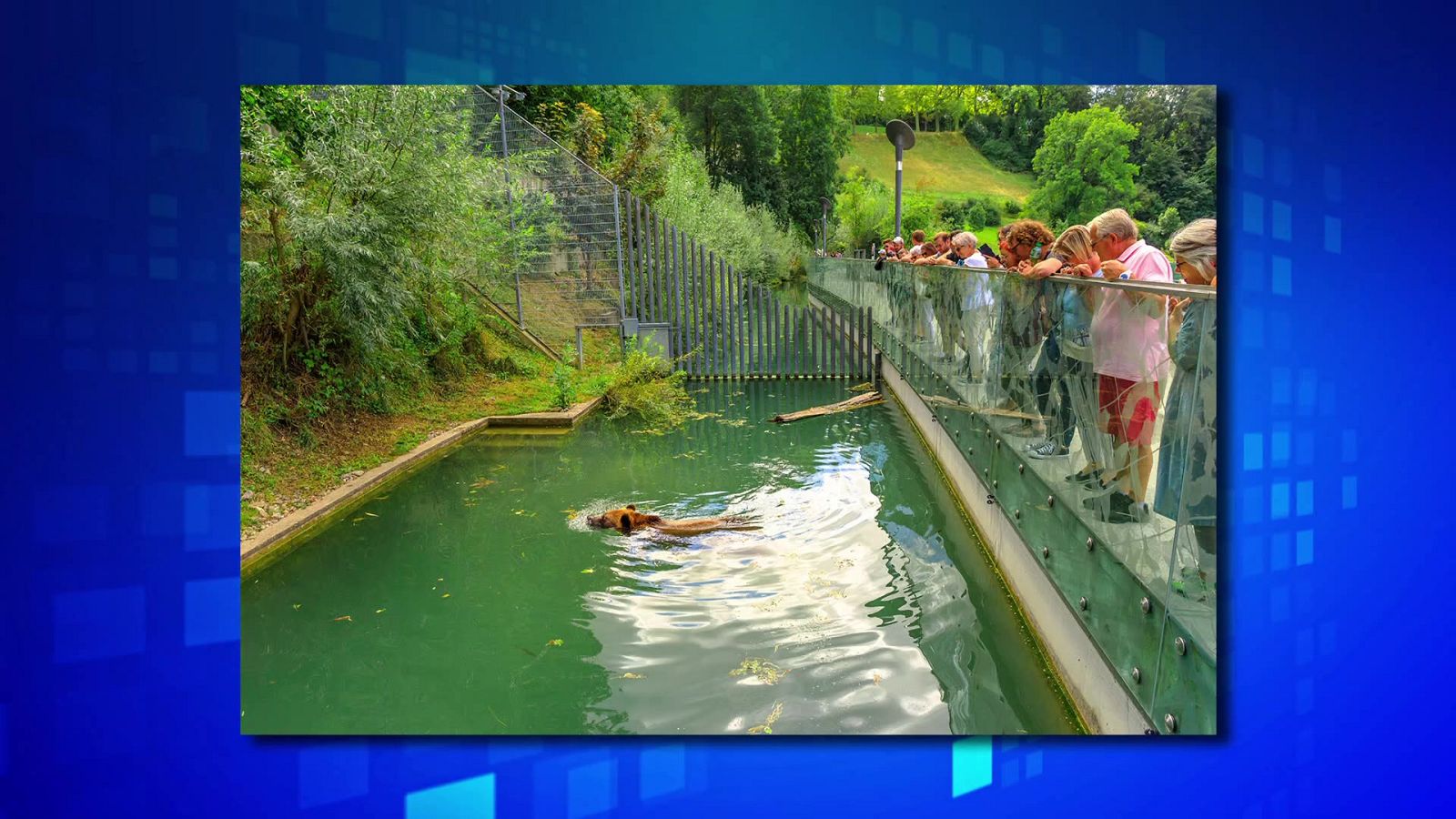 Saber y ganar - 11/04/22 - ver ahora