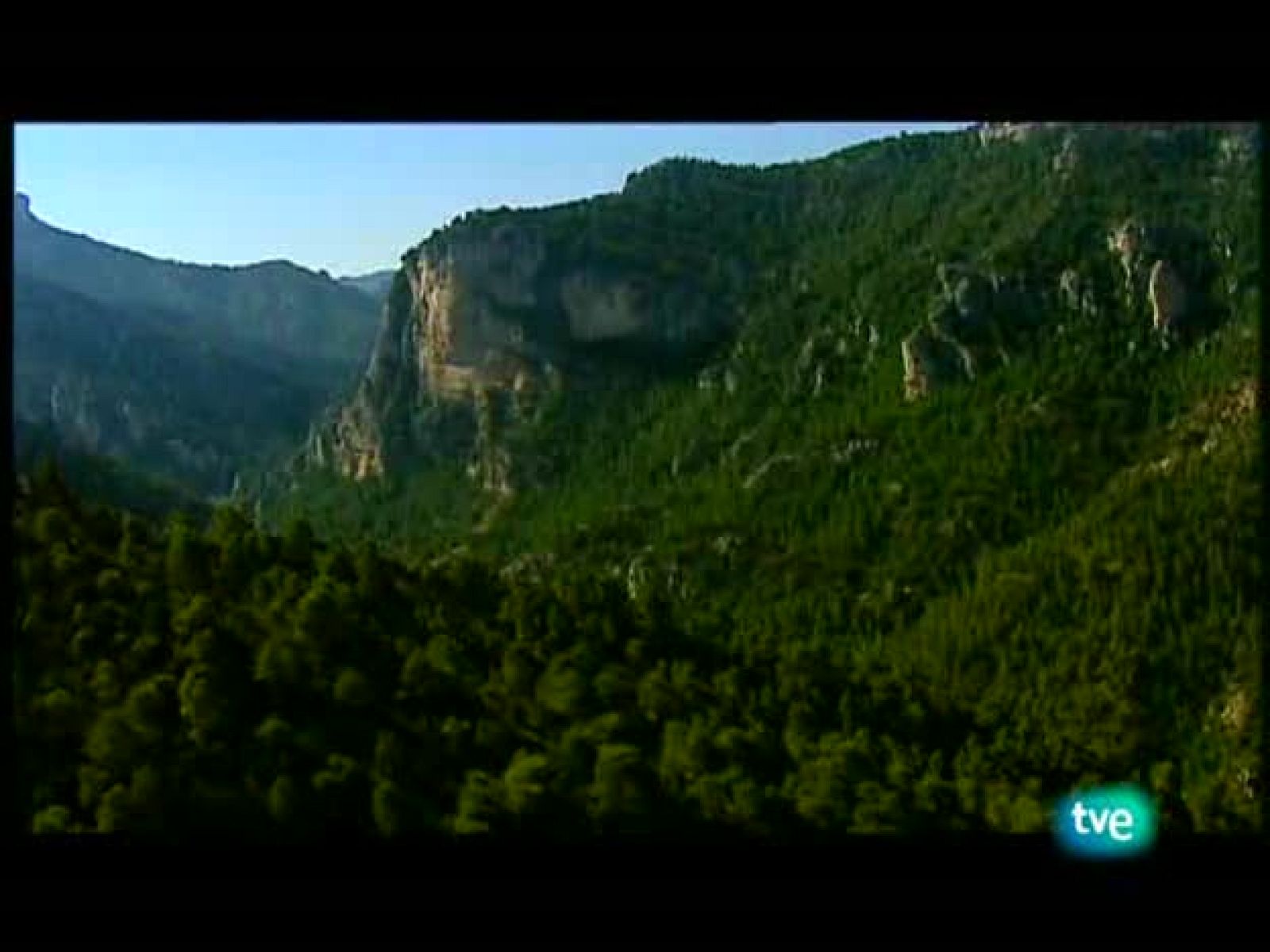 Espacios naturales - Comprometidos - Soñando con buitres | Ver