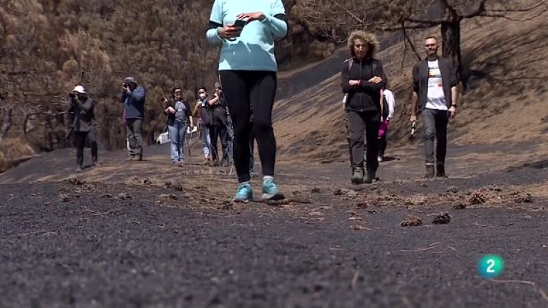 Telecanarias 2 - 11/04/2022