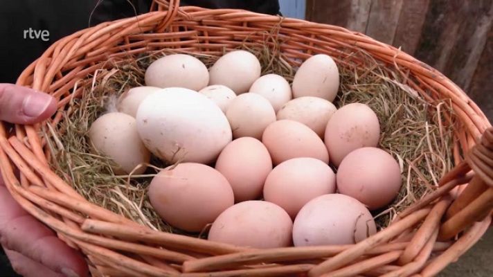 Aquí la Tierra - Unos huevos con mucho arte