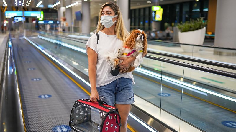 Viajar o no con mascotas, uno de los dilemas de Semana Santa