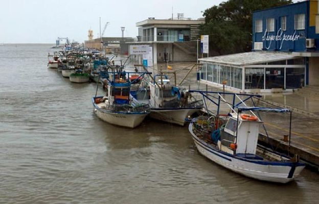  - Mantener la veda de la anchoa