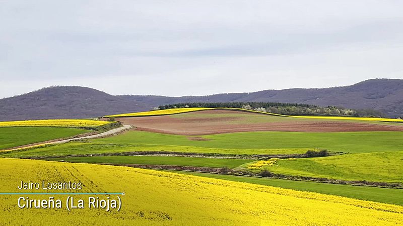 Temperaturas en valores superiores a los normales en la vertiente atlántica, nordeste y Canarias - ver ahora
