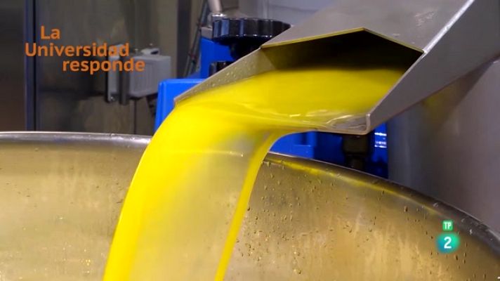 La aventura del Saber - ¿Por qué el aceite de oliva es una grasa de alta calidad?