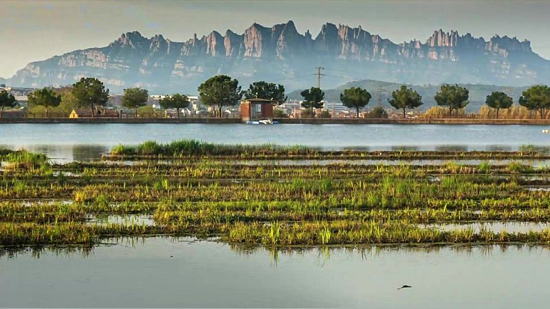 Debido a la entrada de un frente atlántico poco activo, se prevé un aumento de la nubosidad, con precipitaciones en el norte de Galicia y Cantábrico - ver ahora