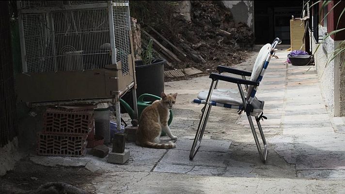 Somos cine - La gàbia (La jaula) (corto)