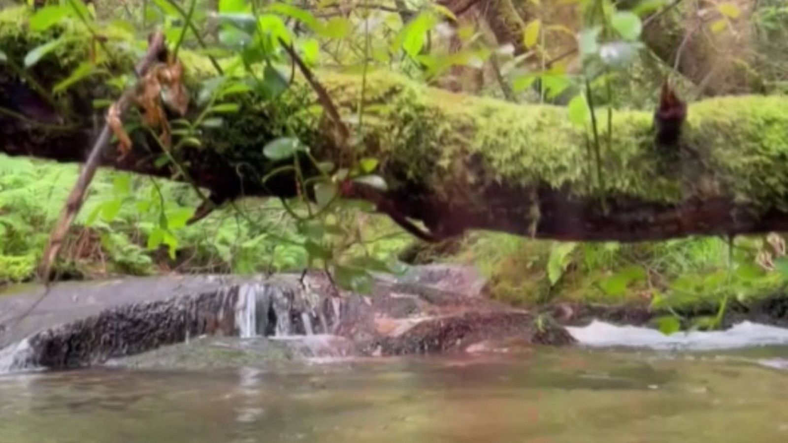 España Directo - Ruta de la piedra y del agua en Galicia