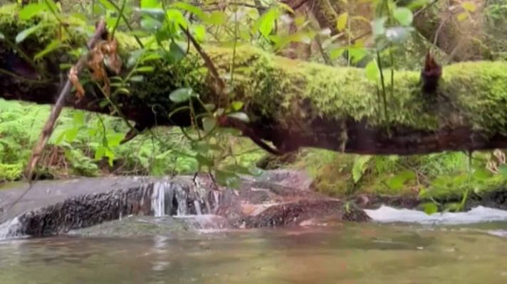 España Directo - Ruta de la piedra y del agua en Galicia