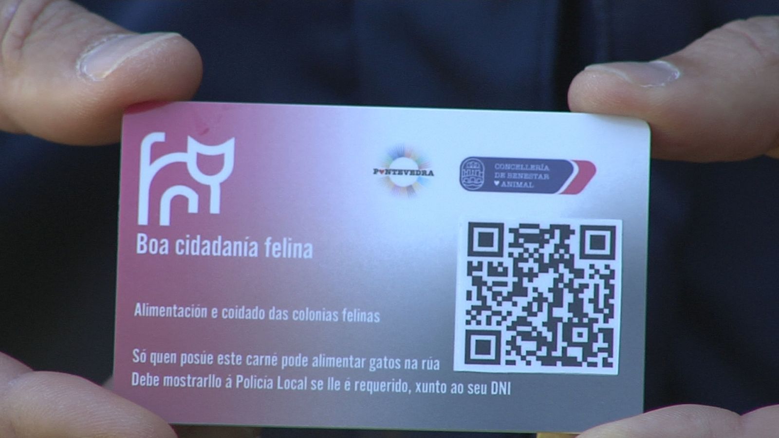 Carné para coidadores de gatos de rúa