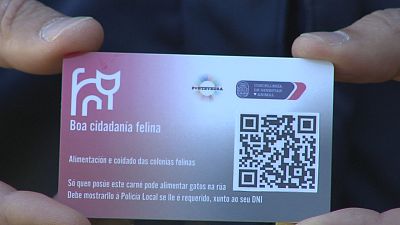 Carn� para coidadores de gatos de r�a