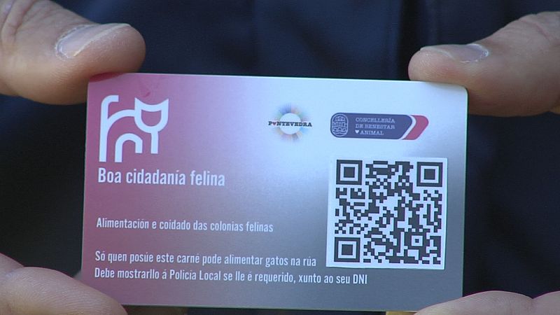 Carné para coidadores de gatos de rúa