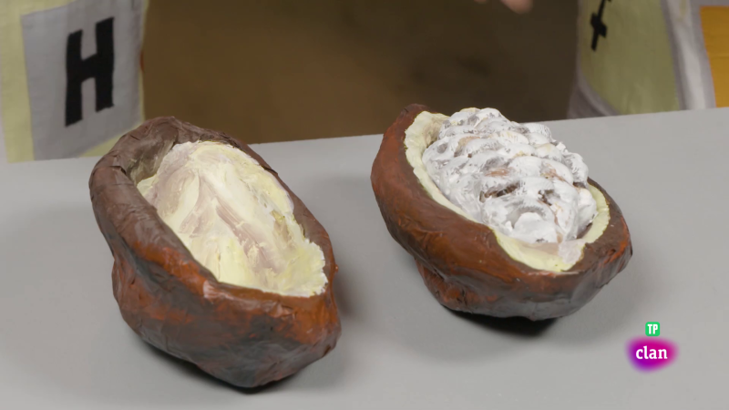 CIENCIAS NATURALES - La tableta de chocolate - Aprendemos en Clan | Ver