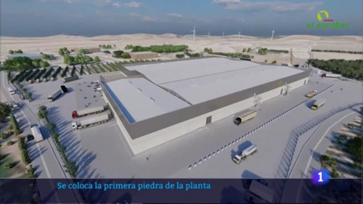Noticias de Extremadura - Arranca la construcción de la nueva planta hortofrutícola en Mérida