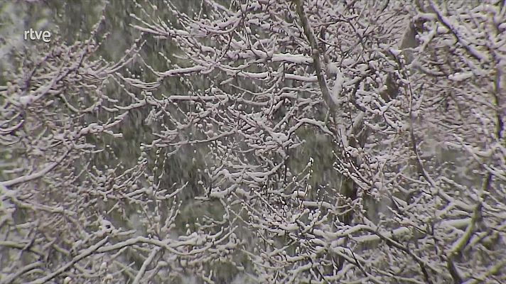 El tiempo - Precipitaciones abundantes en casi toda la mitad este peninsular, fuertes y persistentes en los entornos del bajo Ebro y del cabo de La Nao