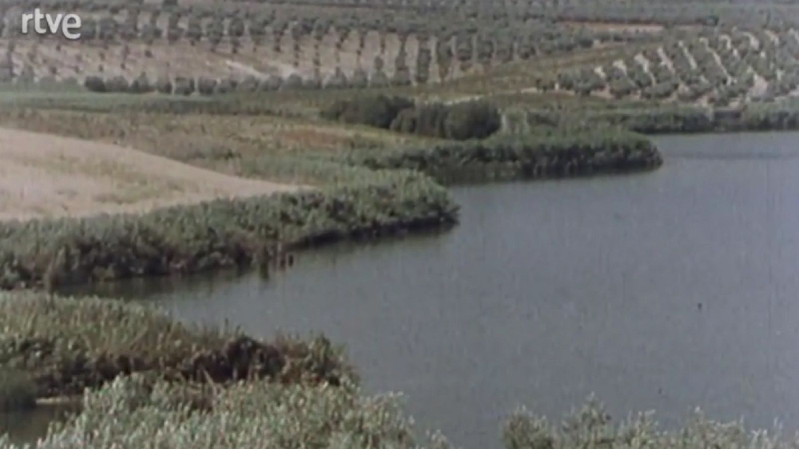 España húmeda - Humedales andaluces (2) - España húmeda | Ver