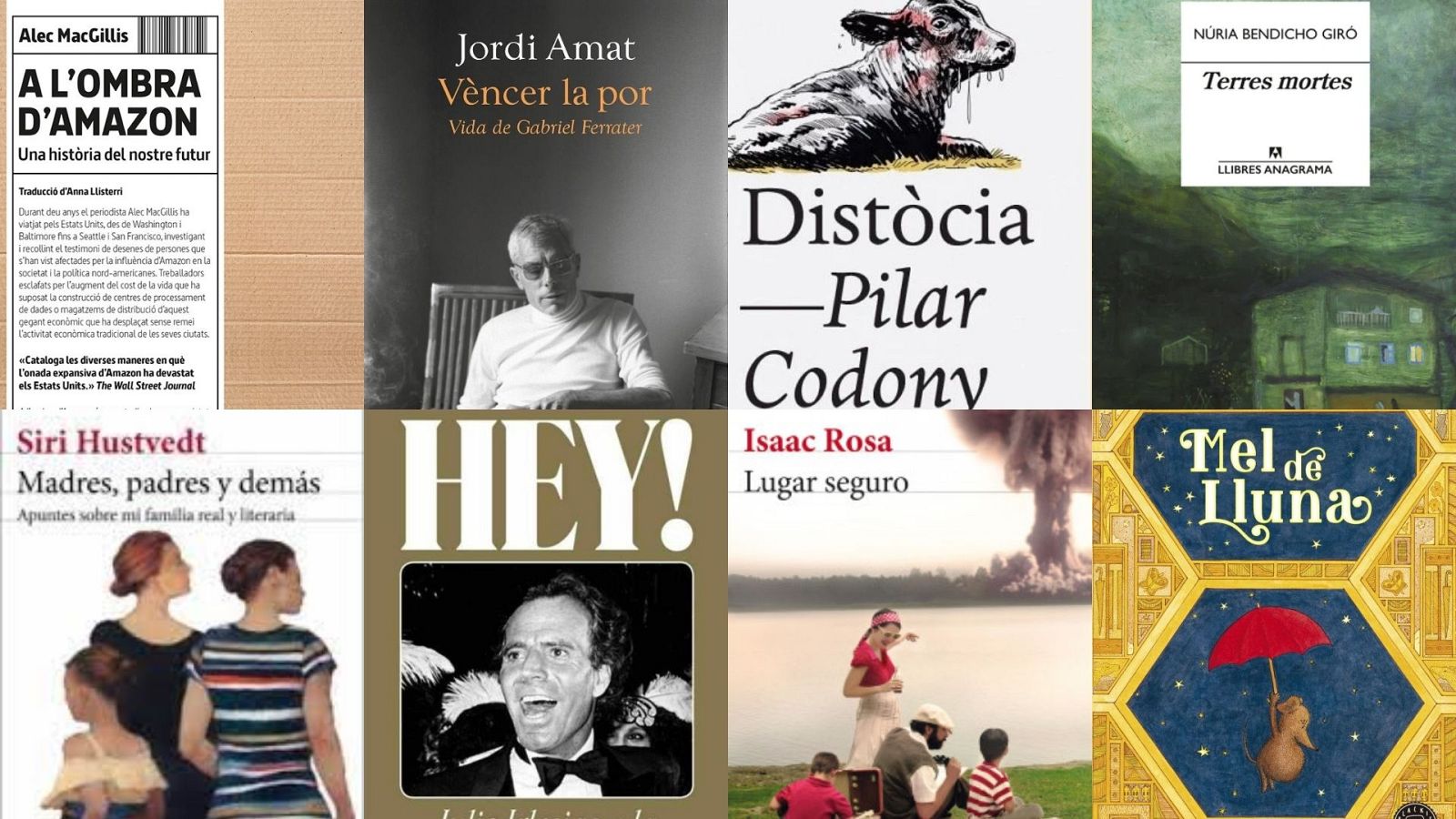 Punts de vista - Recomanacions de Sant Jordi amb Begoña Gómez Urzaiz - Veure ara