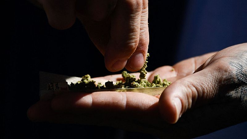 Nueva York invertirá 4,8 millones de dólares en la industria de la marihuana