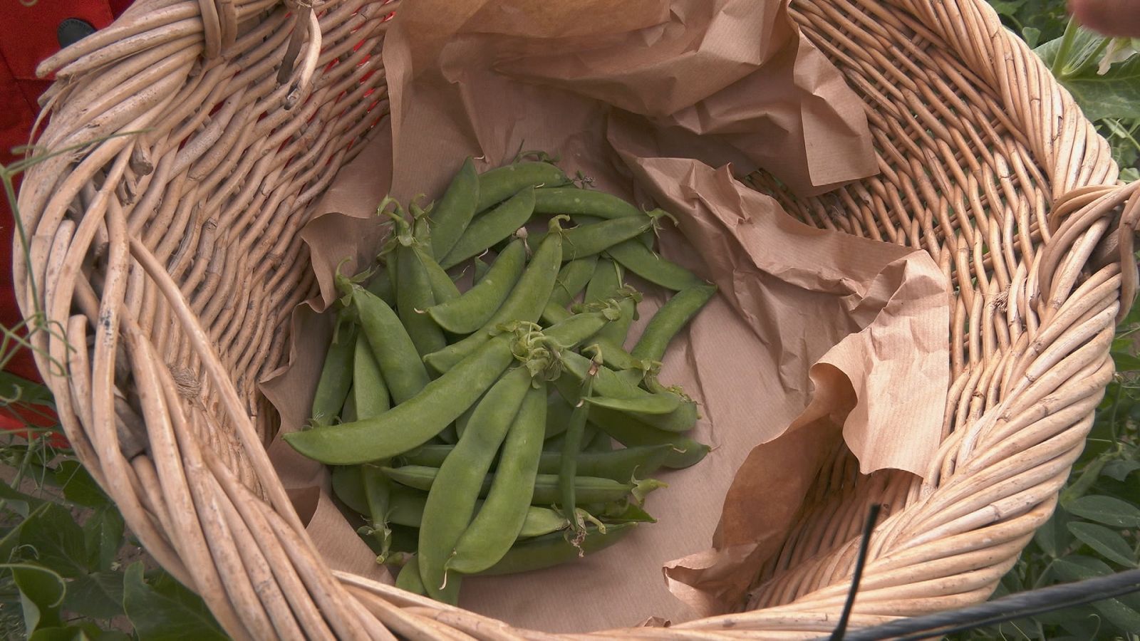 Aquí la Tierra - 21/04/22 - ver ahora