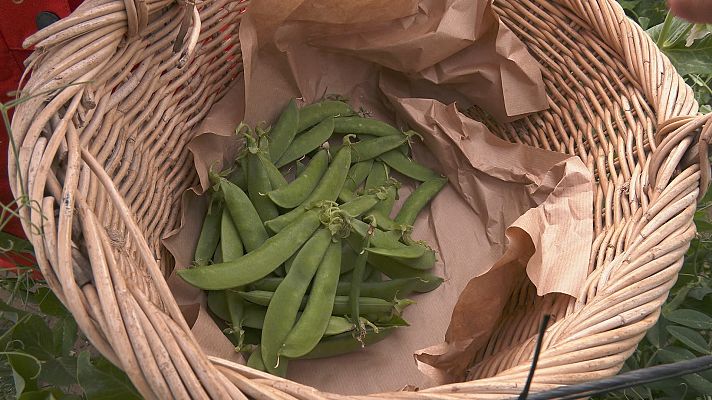 Aquí la Tierra - Aquí la Tierra - 21/04/22