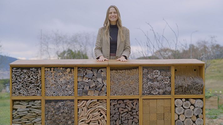 Planeta R - Cases sostenibles, hotels per abelles, ambulàncies jubilades