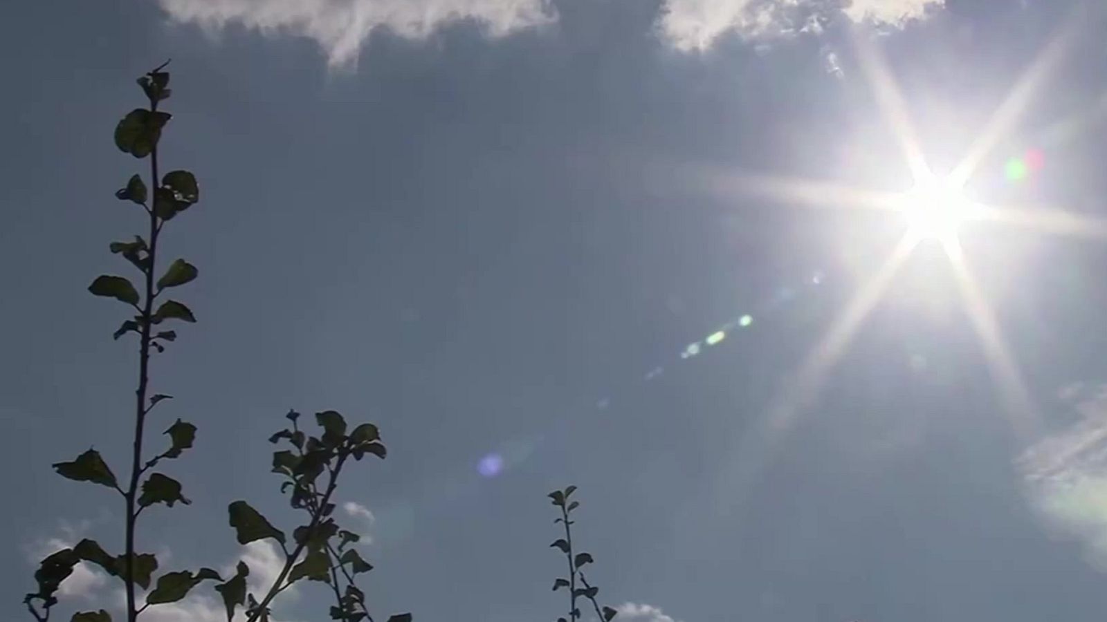 Día de la Tierra- RTVE.es | Ver