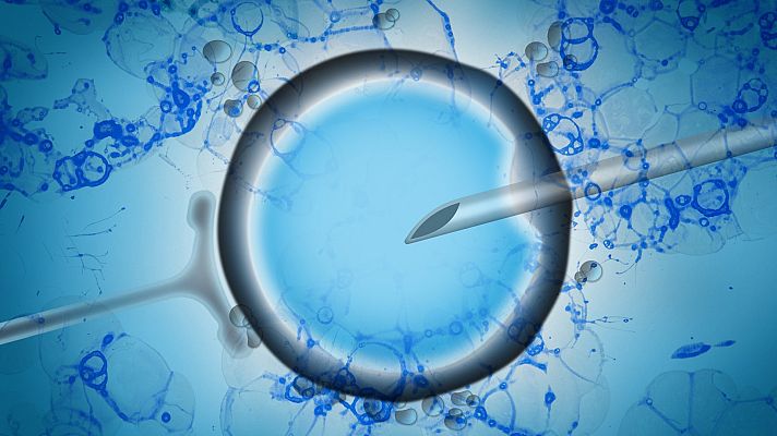 Telediario Fin de Semana - España, líder en tratamientos de reproducción asistida