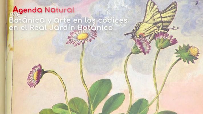 La aventura del Saber - Agenda natural