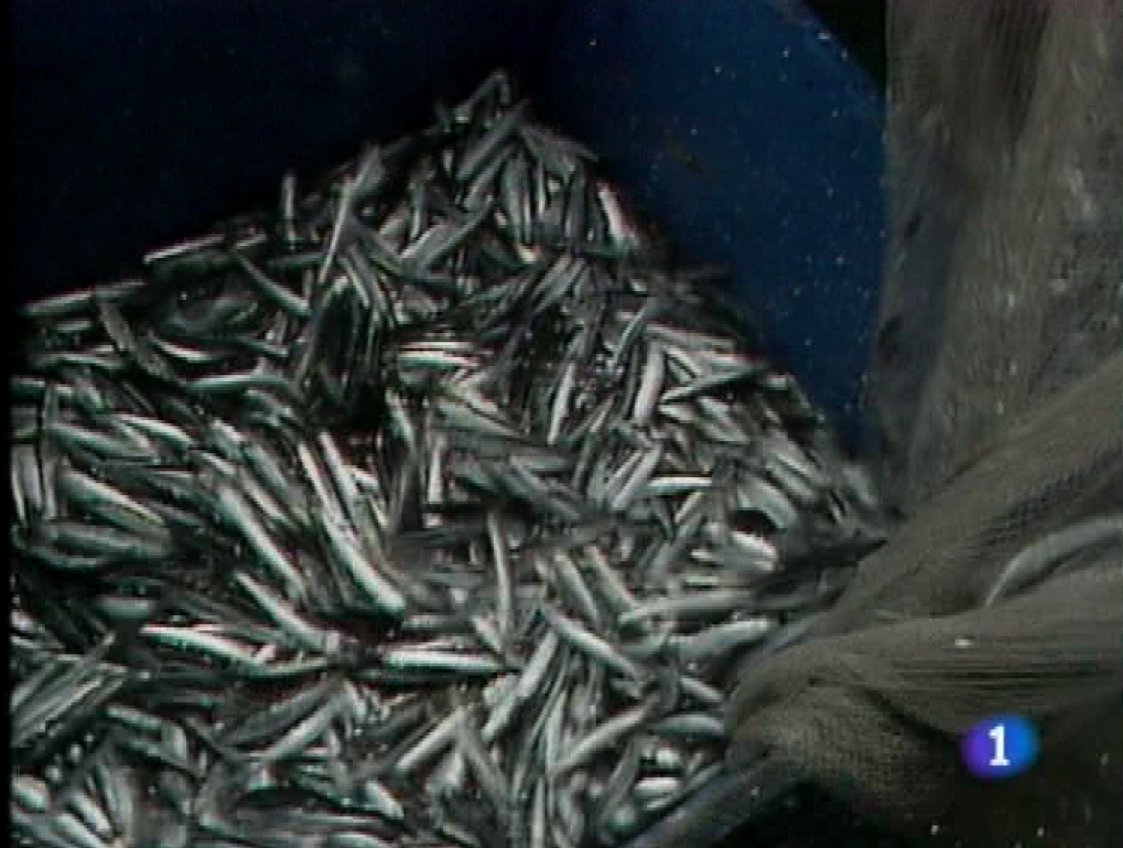 Panorama regional - 16/12/09 - Panorama Regional | Ver