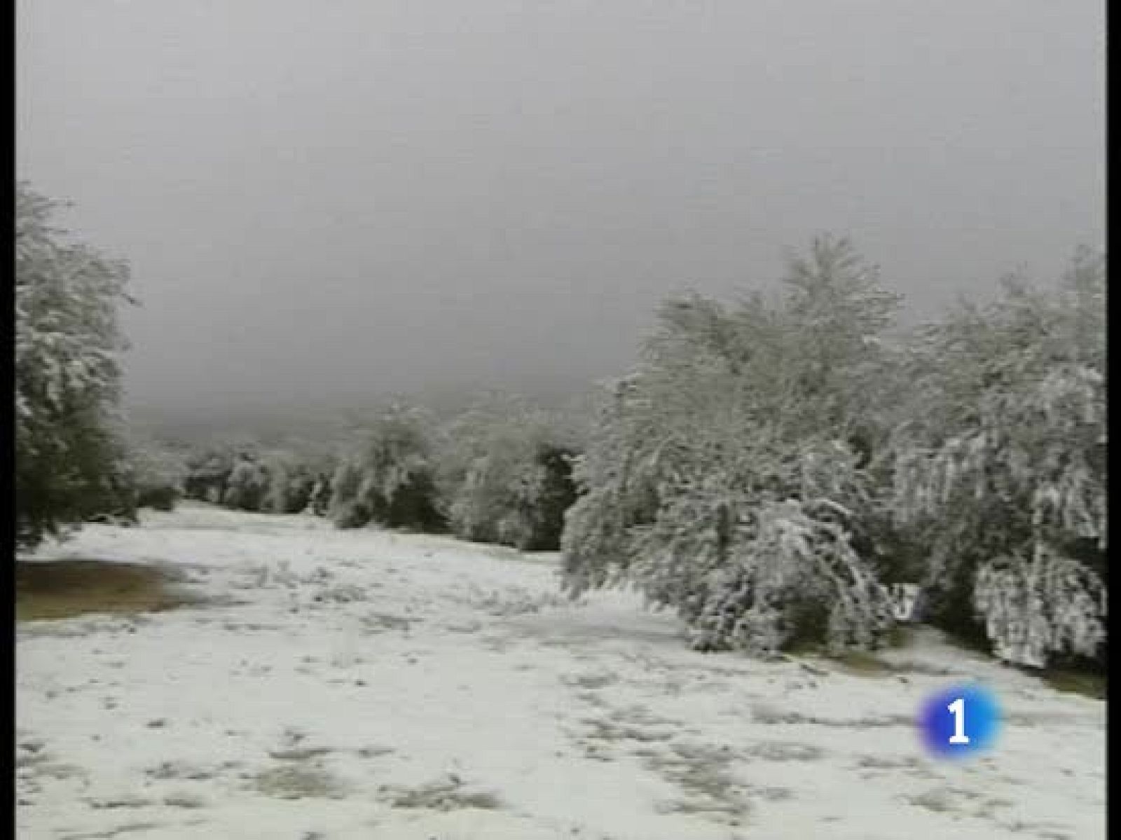 A la campaña de la aceituna de Jaén llegan temporeros de muy lejos | Ver