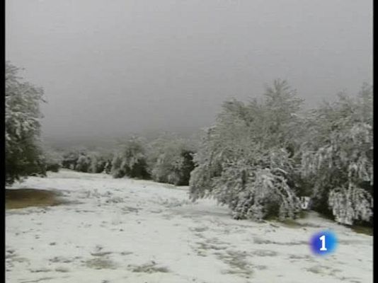  - Campaña de la aceituna difícil